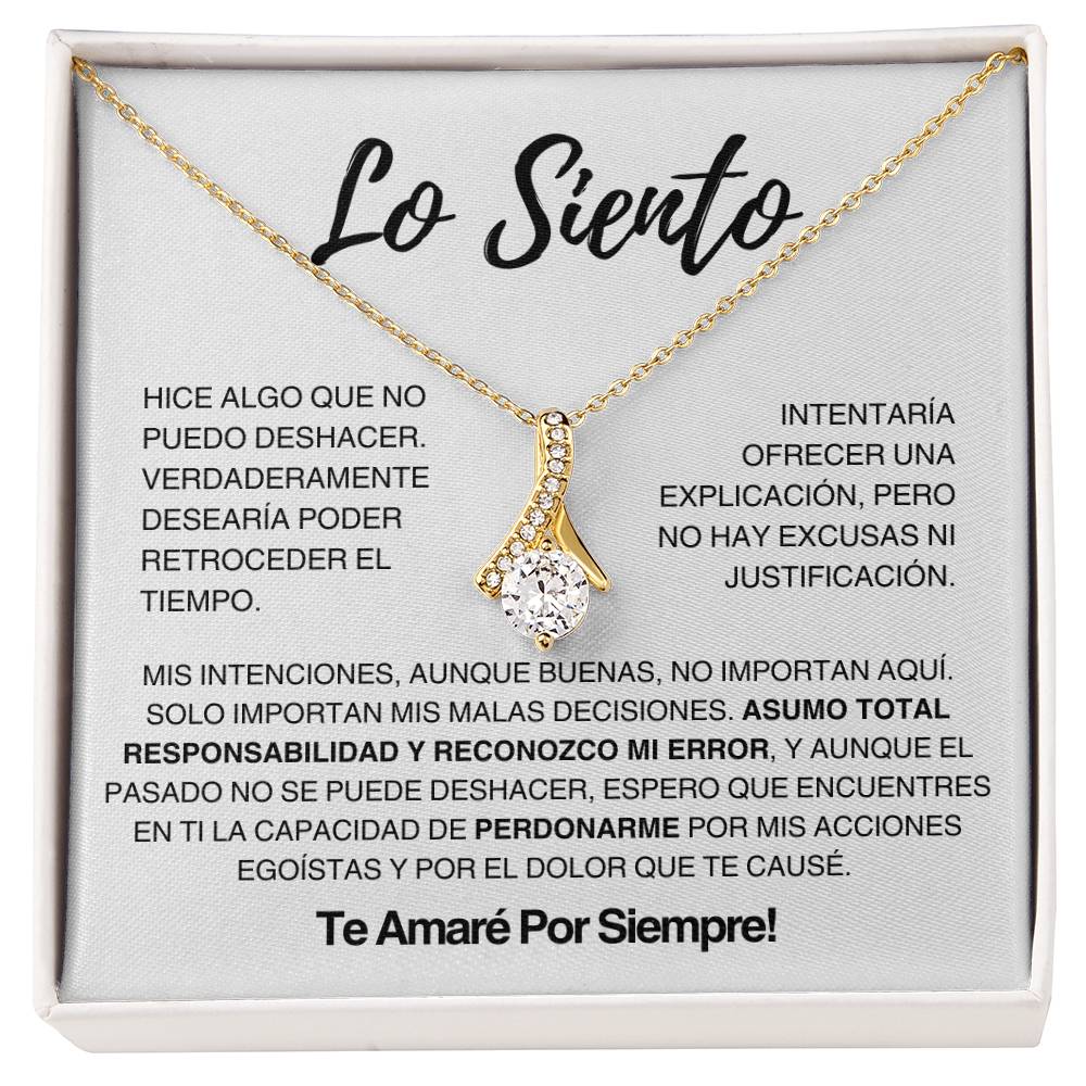 Regalo De Disculpa Para Ella - Asumo Toda La Responsabilidad - AB272