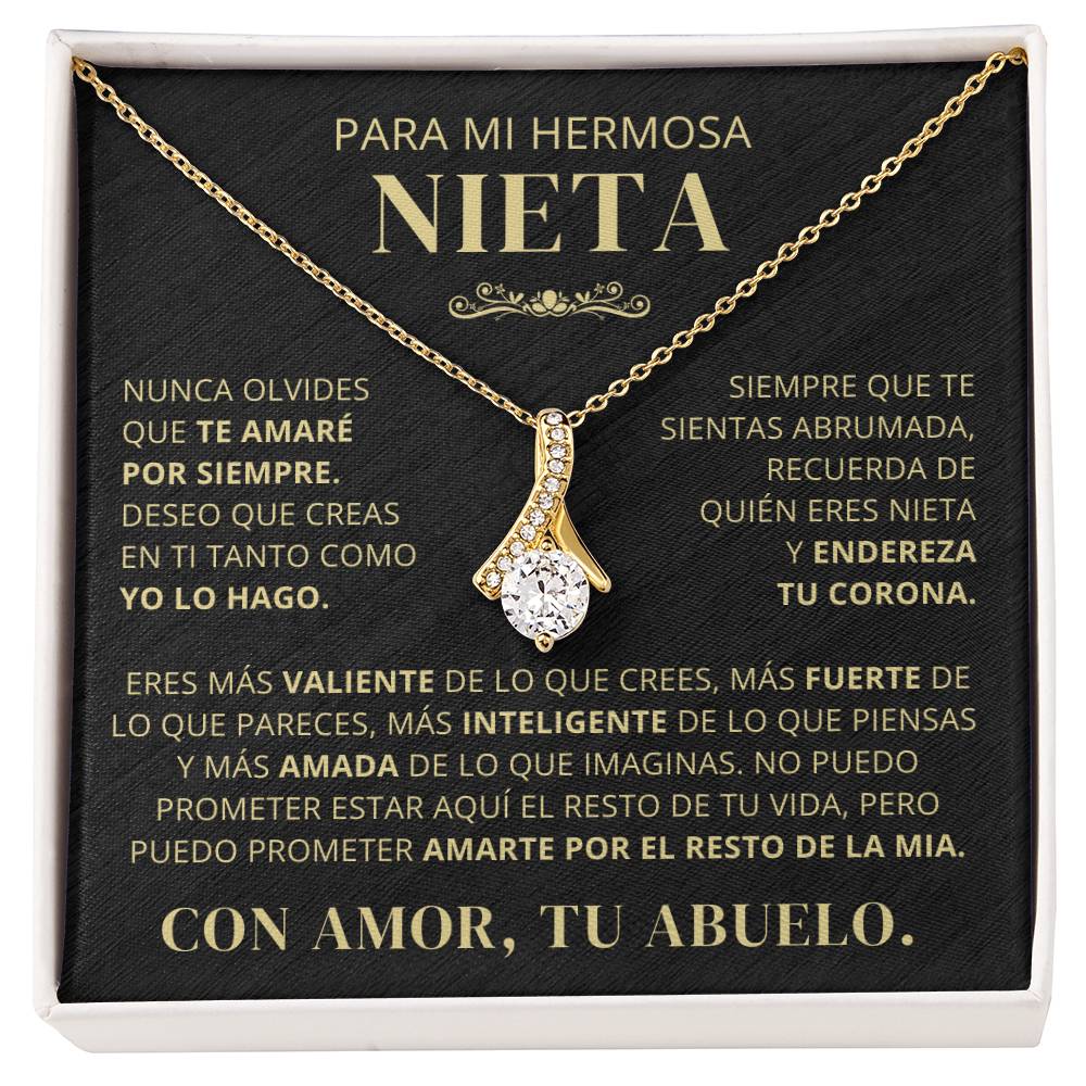 Para Mi Hermosa Nieta De Abuelo - Nunca Olvides Que Te Amaré Por Siempre - AB250V2