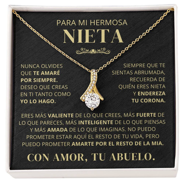 Para Mi Hermosa Nieta De Abuelo - Nunca Olvides Que Te Amaré Por Siempre - AB250V2
