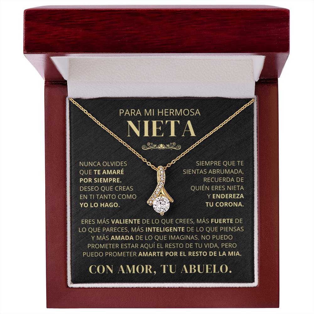 Para Mi Hermosa Nieta De Abuelo - Nunca Olvides Que Te Amaré Por Siempre - AB250V2