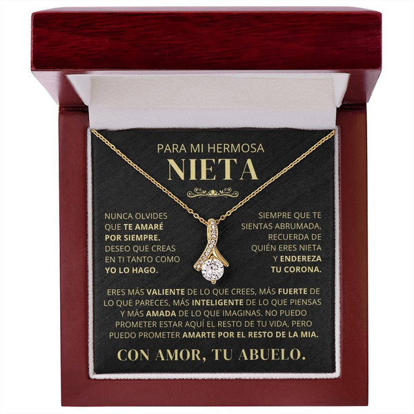 Para Mi Hermosa Nieta De Abuelo - Nunca Olvides Que Te Amaré Por Siempre - AB250V2