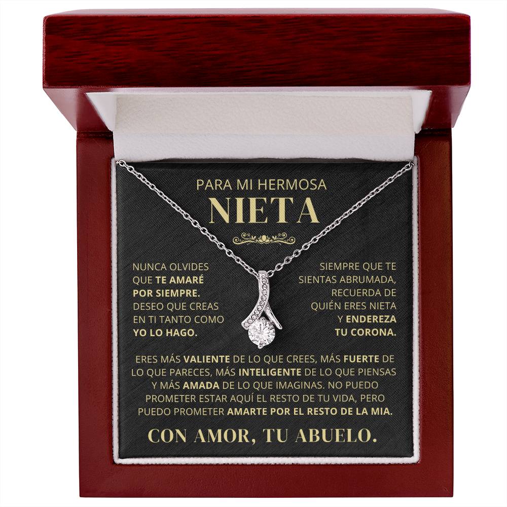 Para Mi Hermosa Nieta De Abuelo - Nunca Olvides Que Te Amaré Por Siempre - AB250V2