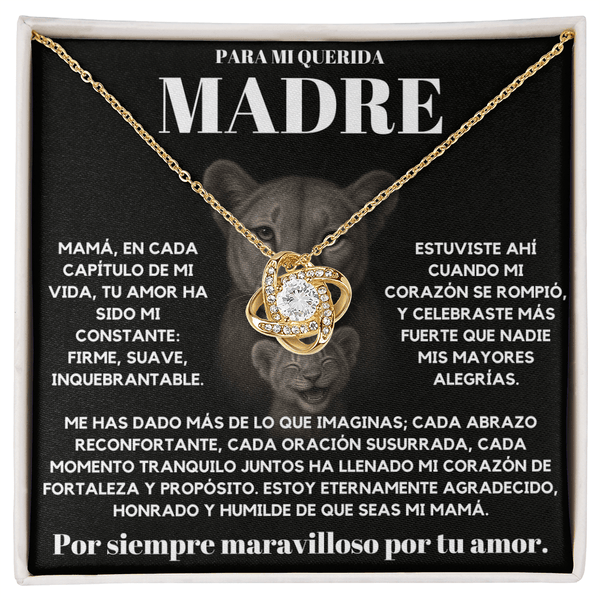 Para Mi Querida Madre | Por Siempre Maravilloso | Leona | LK