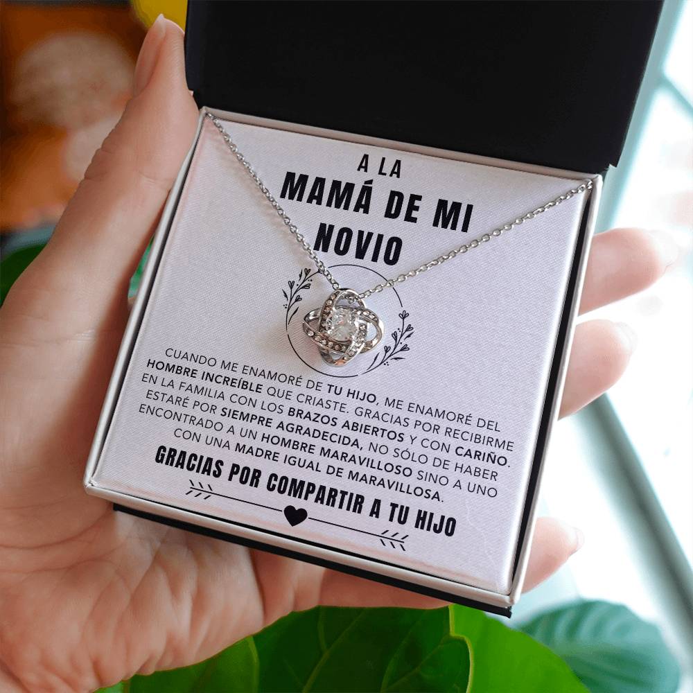 A La Mama De Mi Novio - LK265