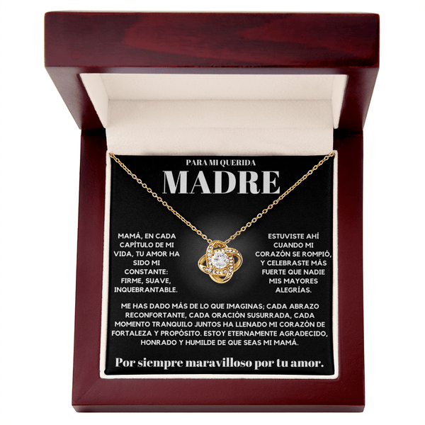 Para Mi Querida Madre | Por Siempre Maravilloso | LK
